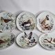 Set of six porcelain plates decorated with birds from Sologne, Limoges, signed, 25 cm