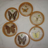 rattan platter - butterflies