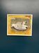 Original Swedish Oil on Canvas – “Seagull” by Ingeborg Stragnell – Signed