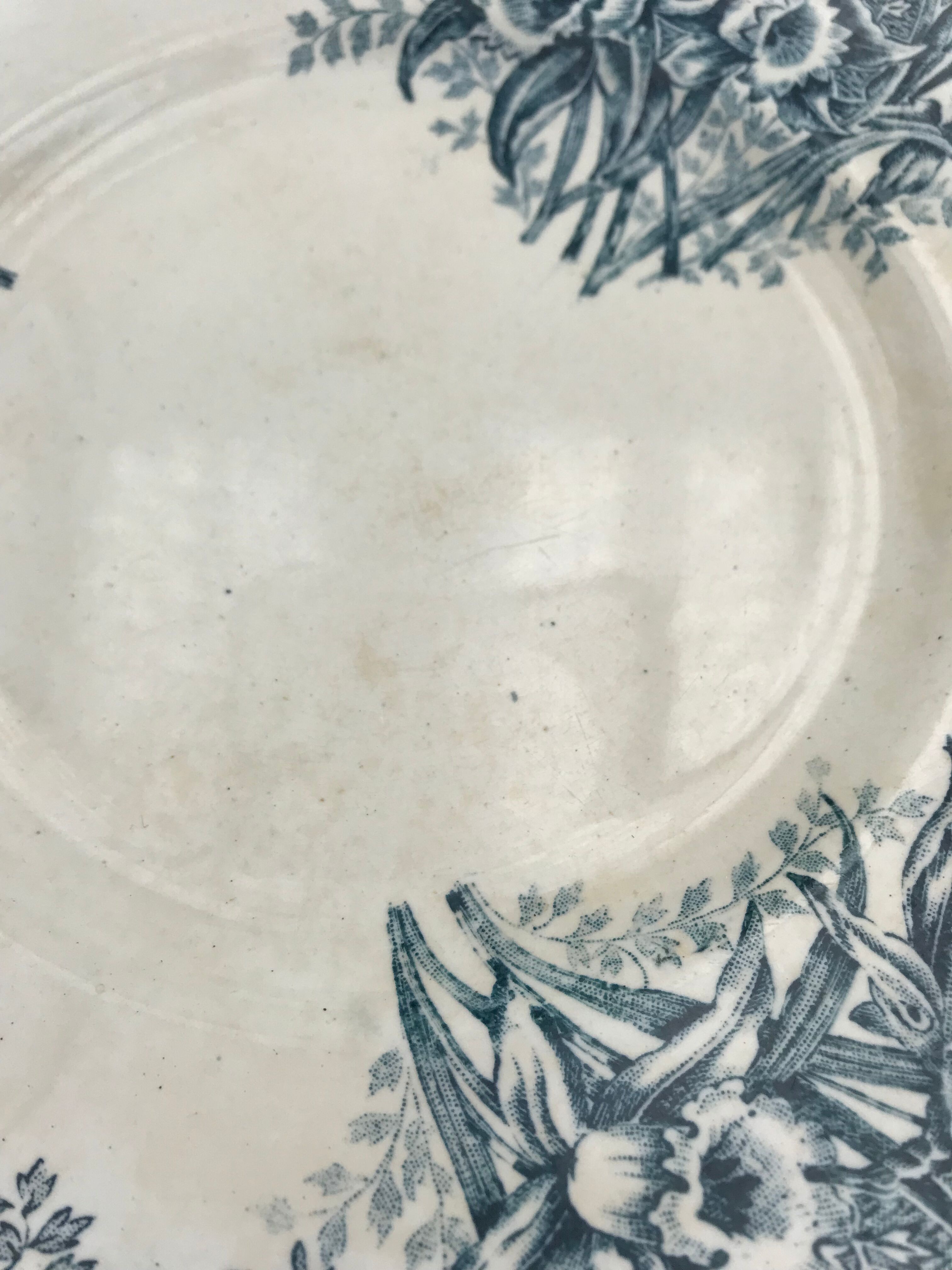 6 flat plates iron earth Narcisses StAmand