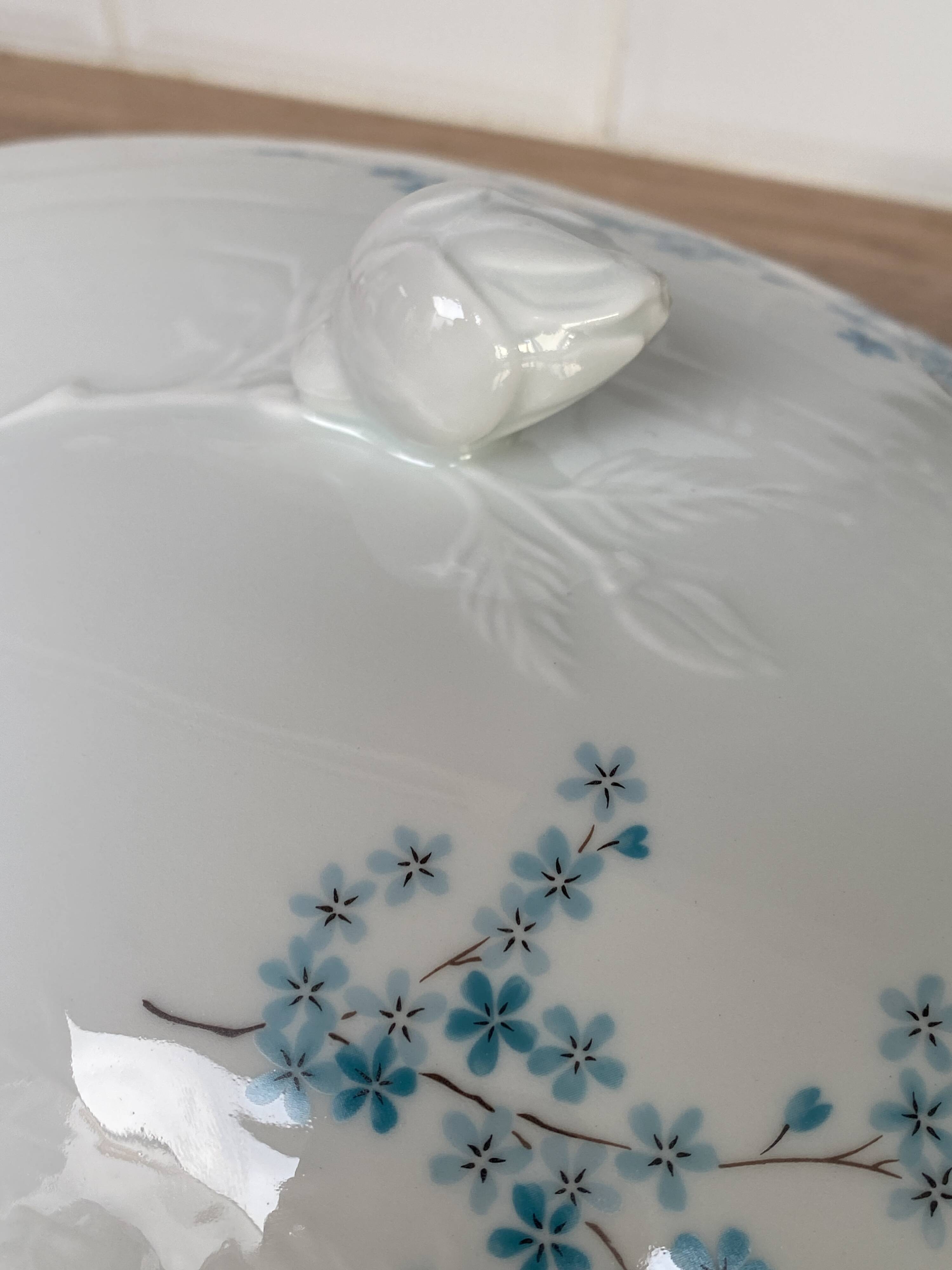 Soupière en porcelaine SFP Berry