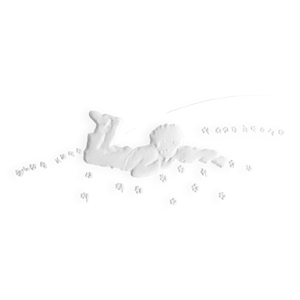 Le petit prince ( le