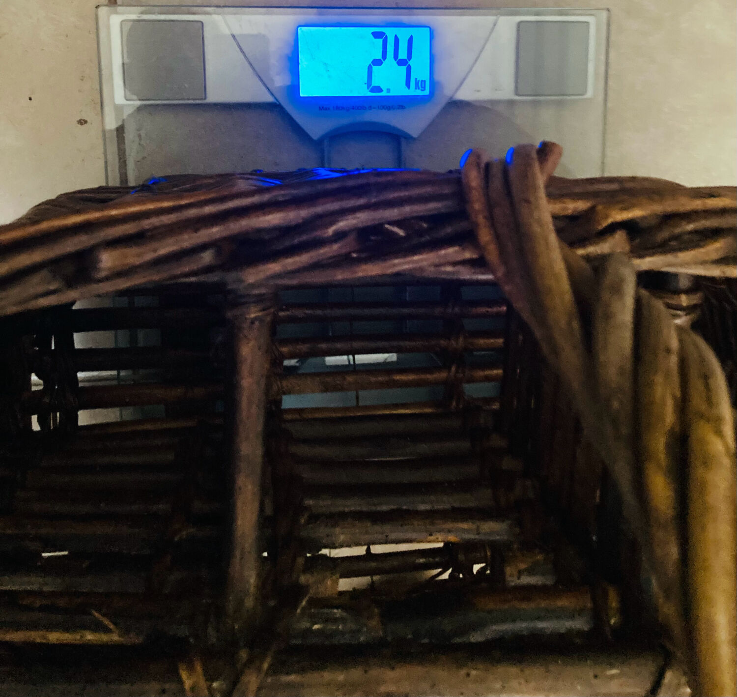 Wicker and hazel bottle basket from the early 20th century or possibly earlier.