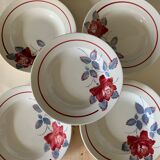 5 plates of Digoin earthenware