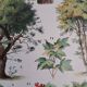 Old botanical plate "Trees" – naturalistic illustration