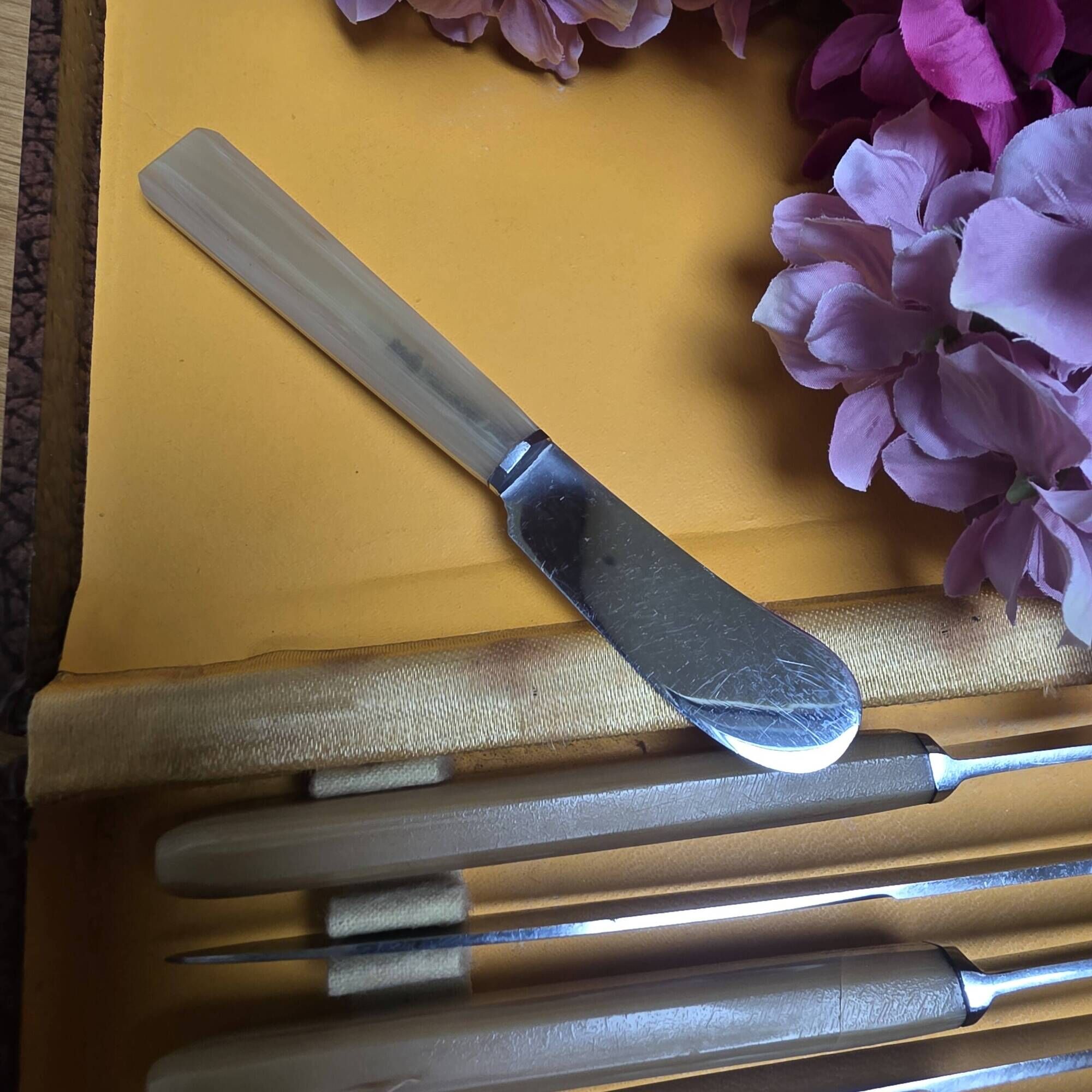 12 vintage knives in a box + 1 butter knife
