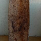 Cut in tree bark