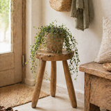 Brutalist tripod stool in solid elm from 1950.