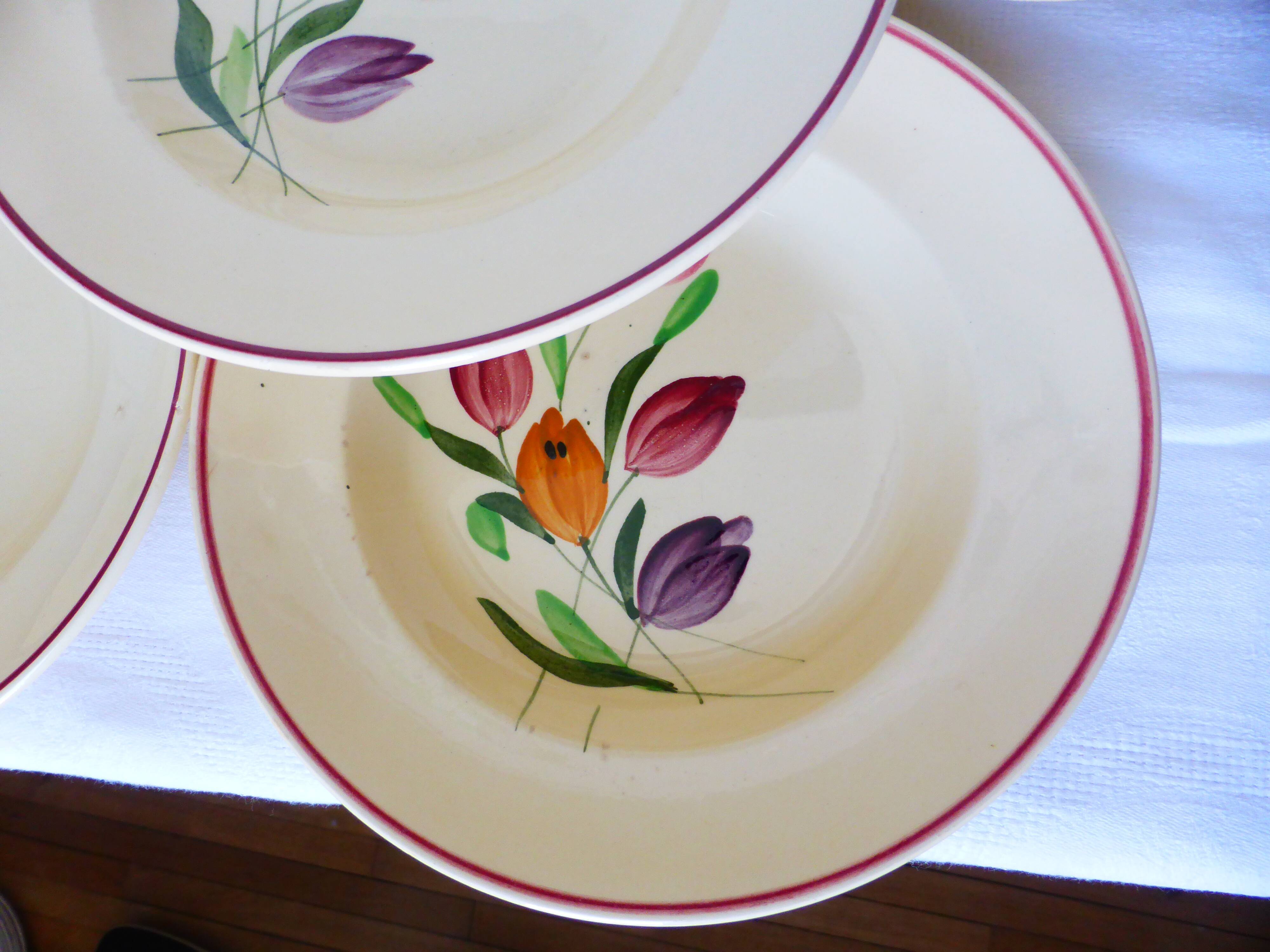 5 assiettes creuses de Longchamp modèle Tulipes 210747