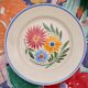 Lot flat plates model "Rustic" Sarreguemines