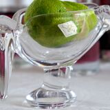 Heron marabout bird crystal of Vannes