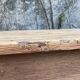 Old farmhouse table