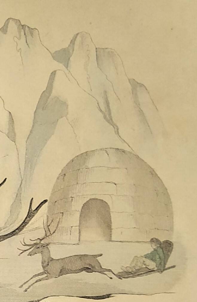 Ornithological Plate Buffon 1838 "Moose & Reindeer"