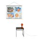 School poster the orange and the fur