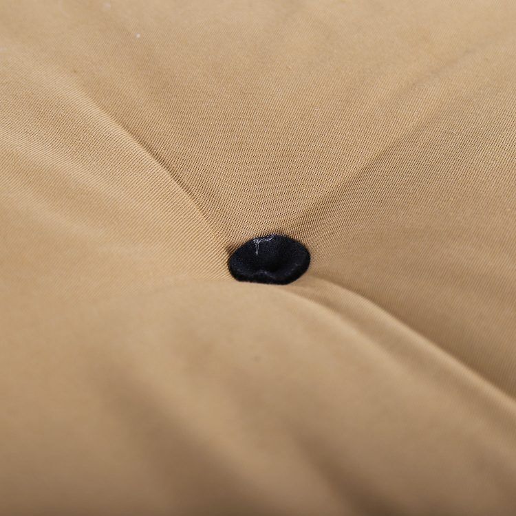 Mid-century French Daybed with futon