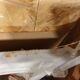 Cast iron chimney coat