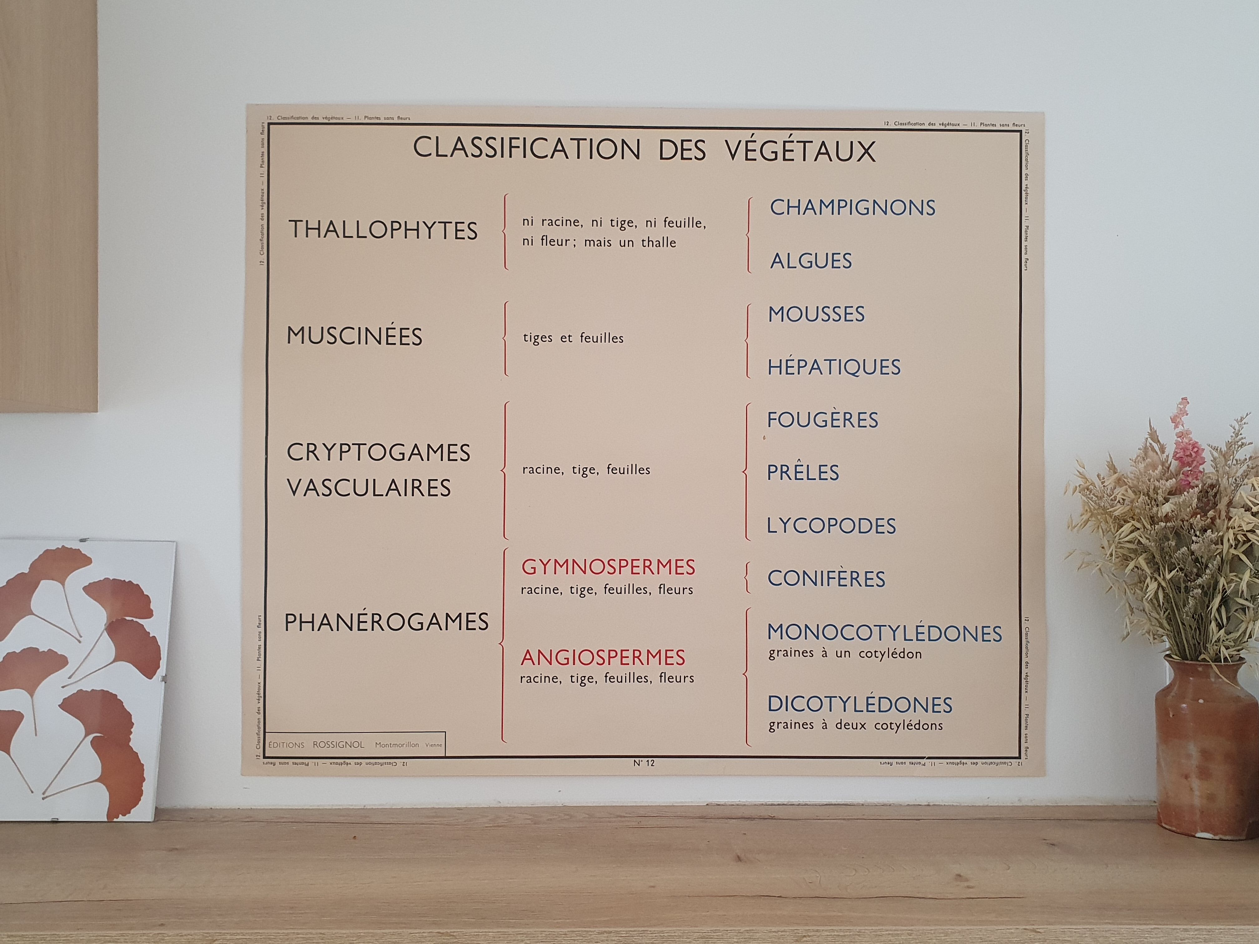 Rossignol school poster