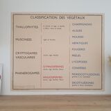 Rossignol school poster