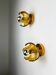 Pair of Carlo Nason wall lights for Mazzega Murano, blown Murano glass orange I