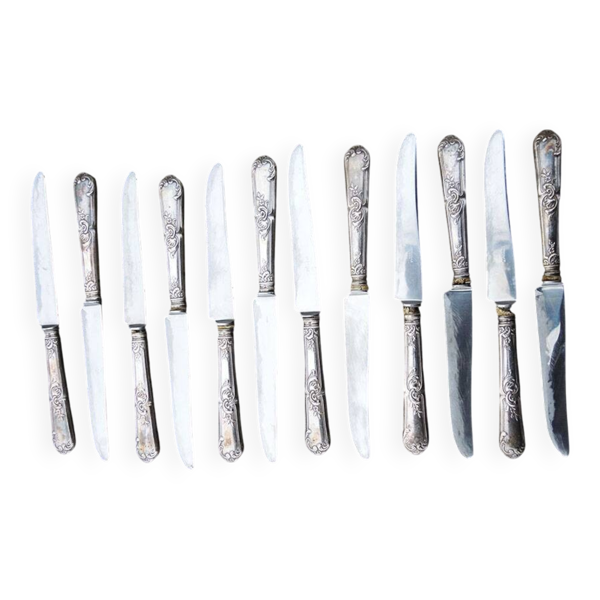 12 anciens couteaux de table Orbrille en inox
