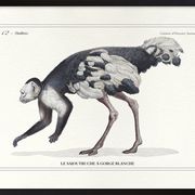 Lithograph engraving chimu00e8re animal - the saddingruche