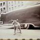 “Cat on Sidewalk” – New York City, 1958 fine art photo by Angelo Rizzuto