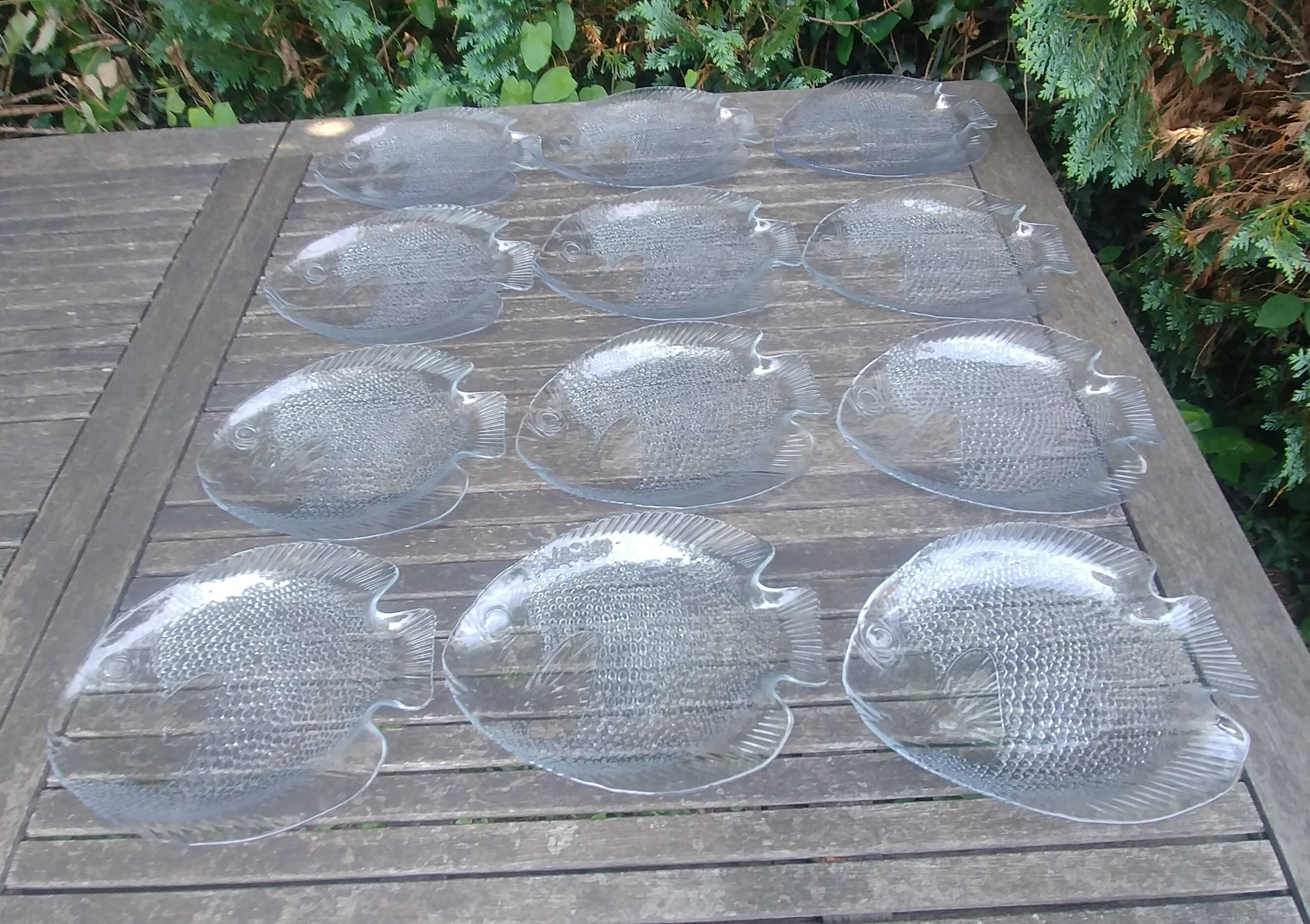 Set of twelve Arcoroc transparent glass fish-shaped dinner plates - vintage.