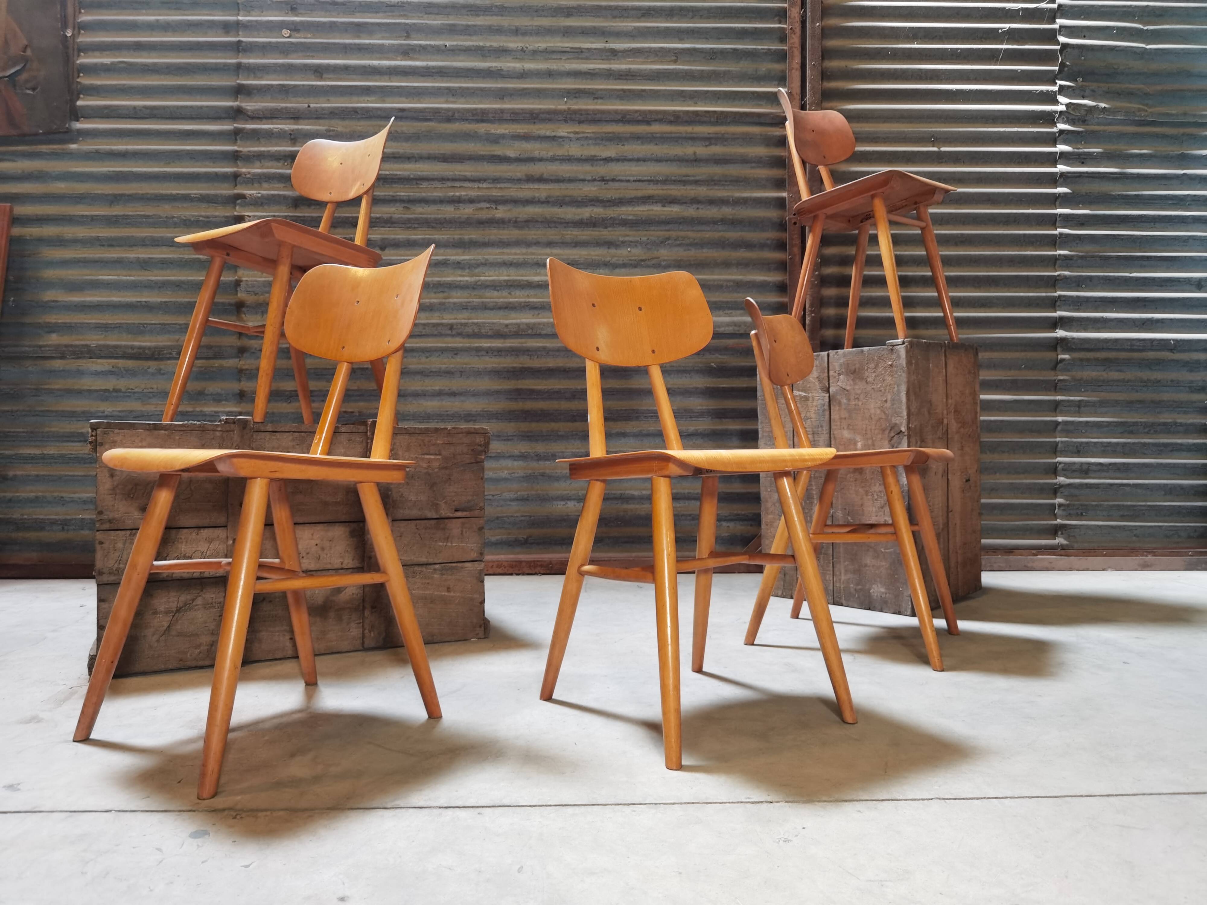 Set of 5 all-wood chairs published by Ton 1960