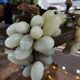 Large vintage living room lamp Italy 1970