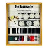 Vintage educational school display Cotton by Josef Galler, Germany, 1960s.