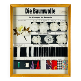 Vintage educational school display Cotton by Josef Galler, Germany, 1960s.