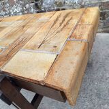 Roger CAPRON herbarium coffee table