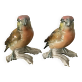 Couple of porcelain birds by Karl Ens