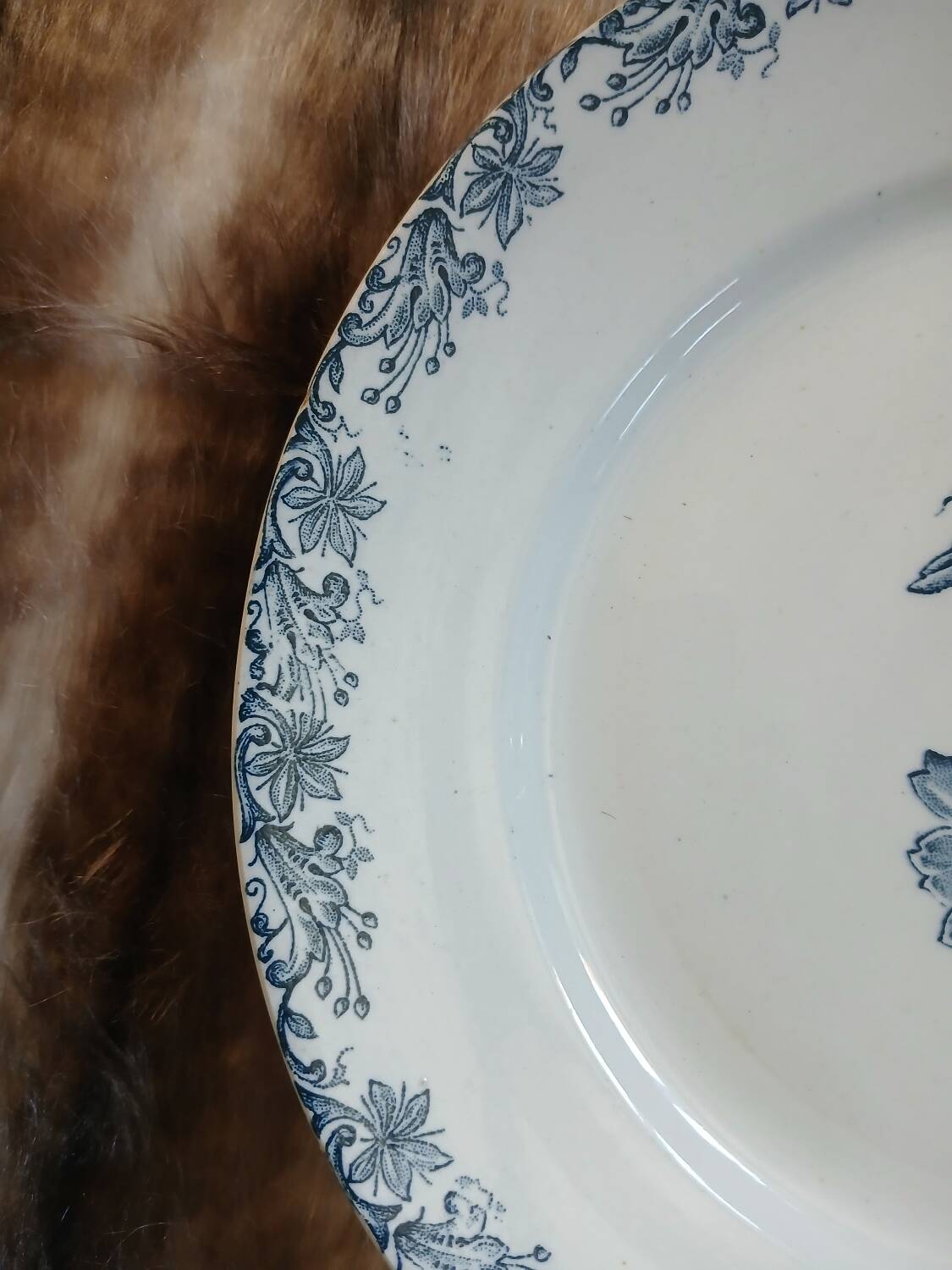 11 antique ironstone plates "Flora"