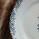 11 antique ironstone plates "Flora"