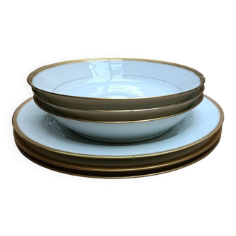 Haviland Limoges porcelain tableware set