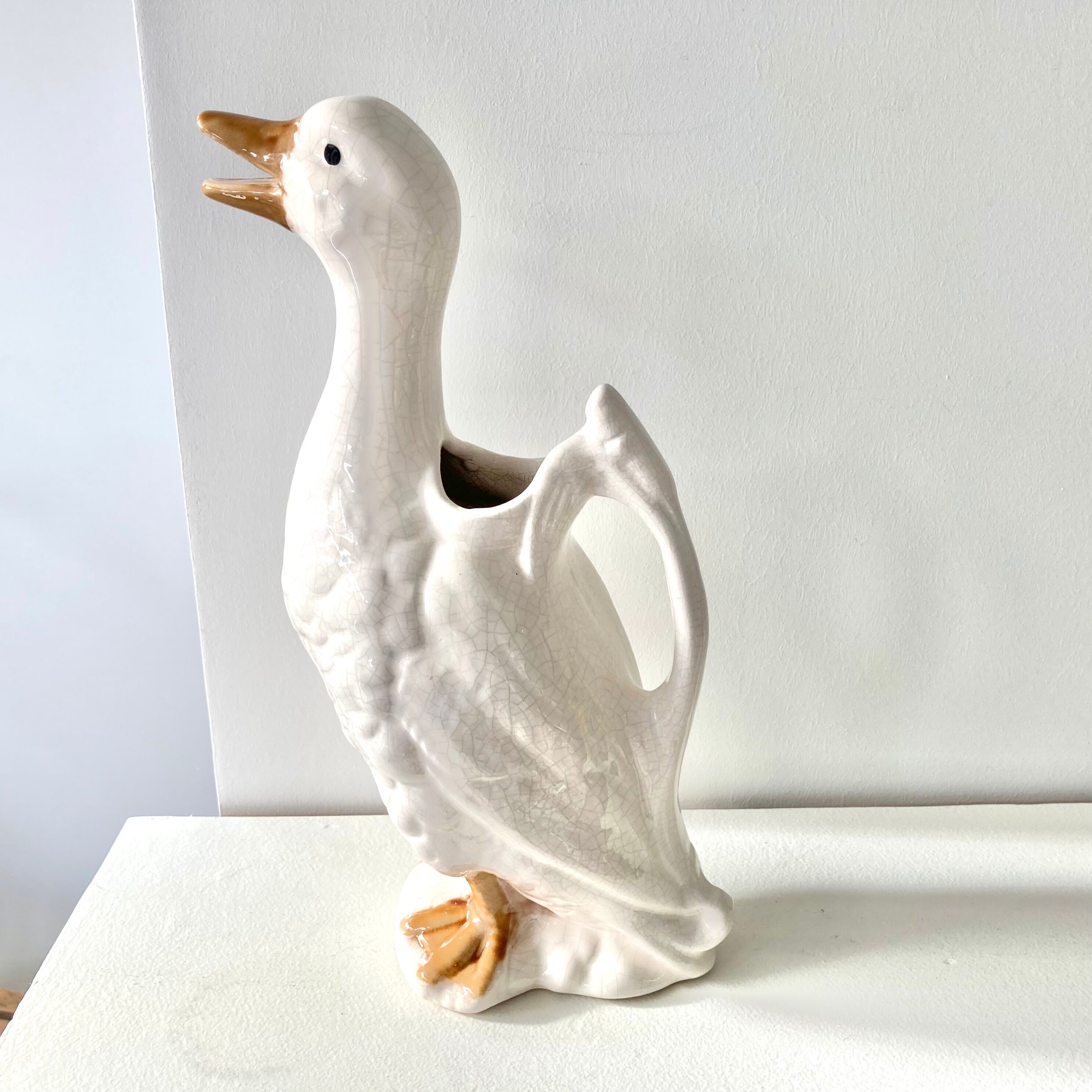 Pitcher duck slurry St Clément