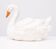 Antique Capodimonte Ceramic Swan jardiniere 1880
