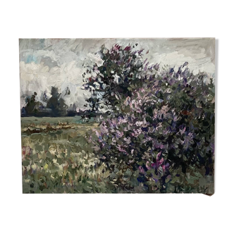 Oil painting on canvas signed dimensions: height -40cm- width -50cm-