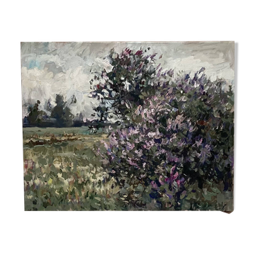 Oil painting on canvas signed dimensions: height -40cm- width -50cm-