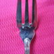 Silver metal fish service ercuis- model contours victoria