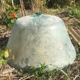 Cloche de jardin en verre soufflé IXX s