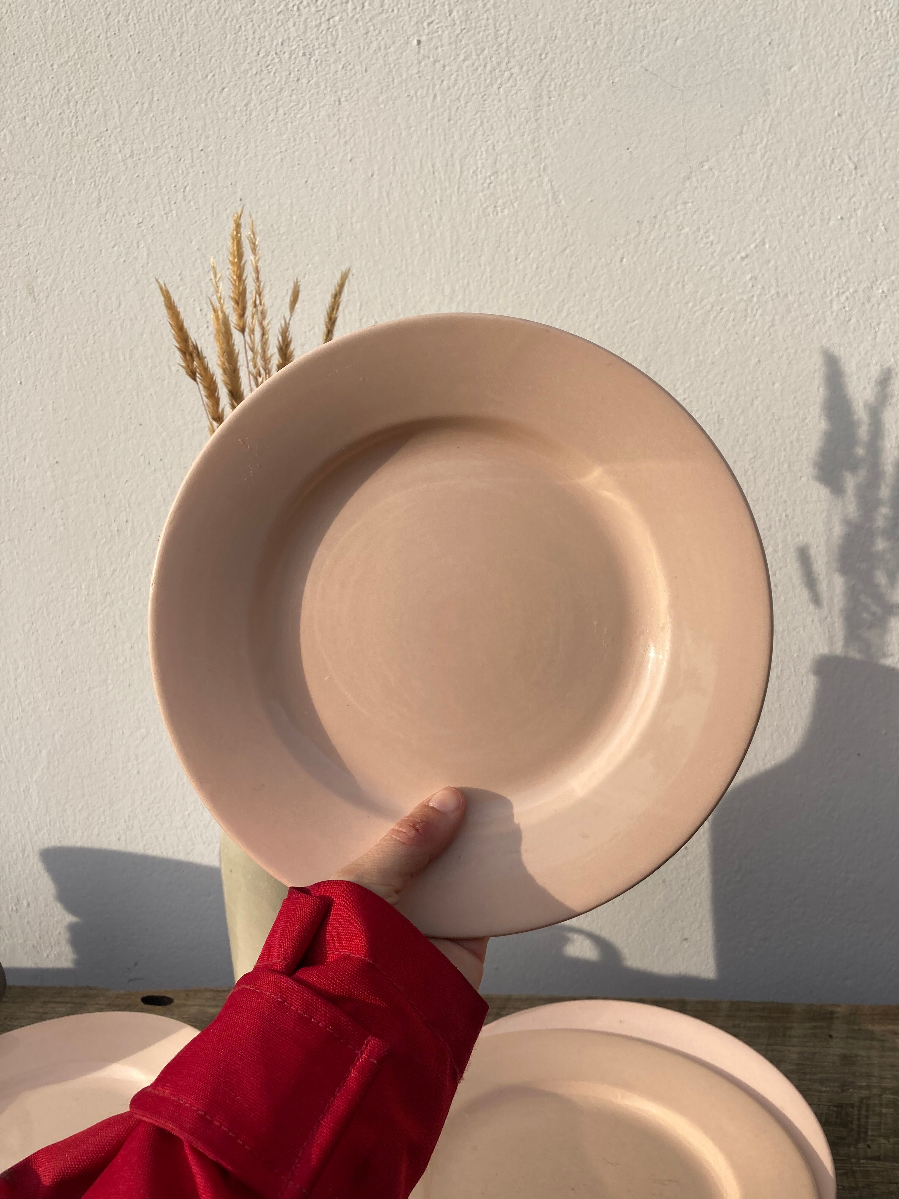 4 flat plates powder pink Digoin plain old