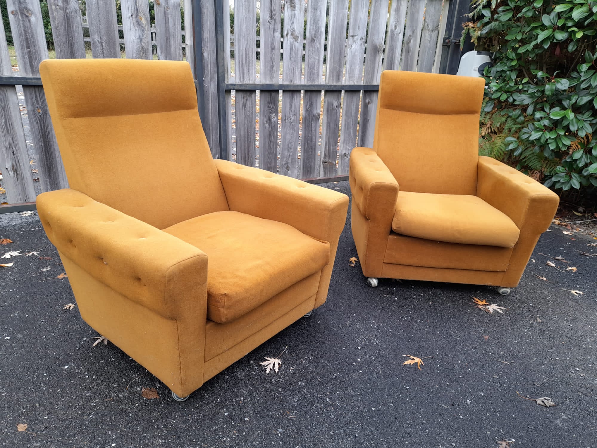 Pair of armchairs from the 70s in ochre velvet