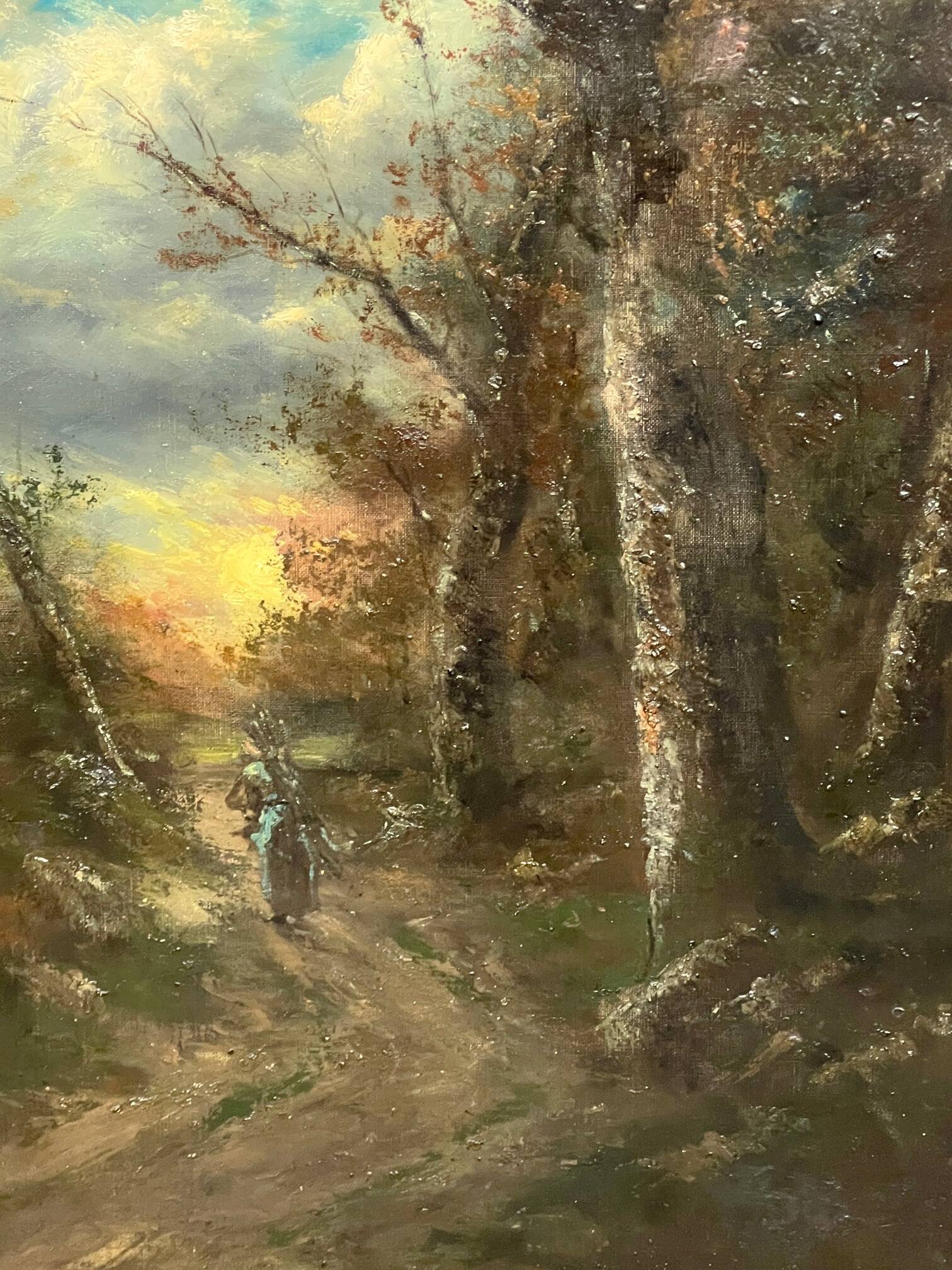 Paysage forestier ancien dans un beau cadre.