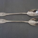 Silver metal salad cutlery, silver