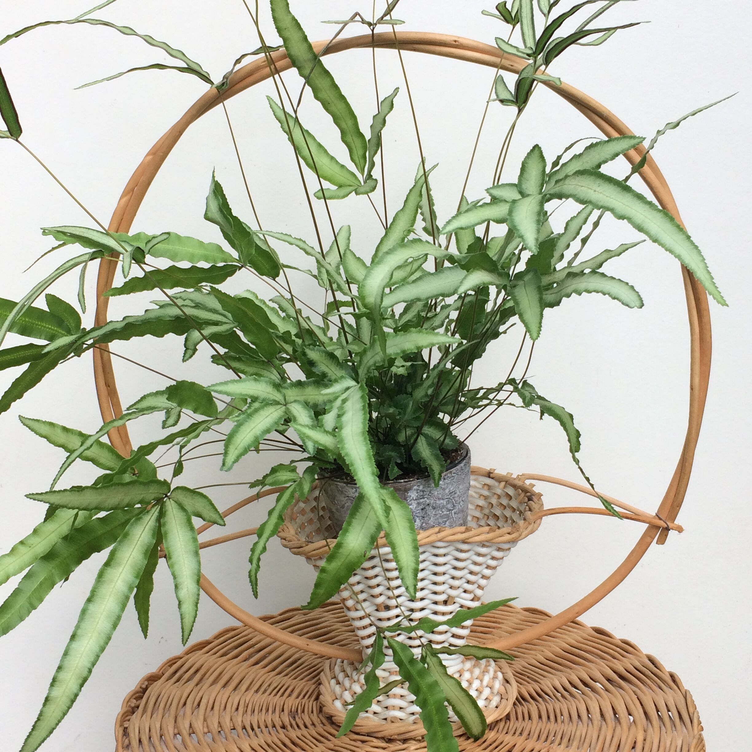 Vintage rattan basket