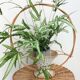 Vintage rattan basket