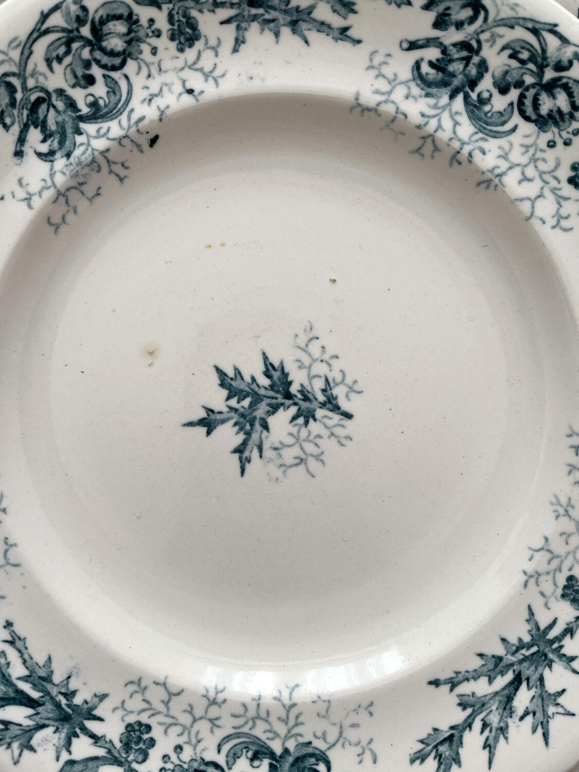 5 old flat ironstone plates “Cyrano” Longwy
