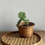 Panier osier